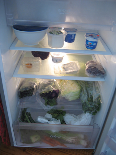 fridge-voyear-photo