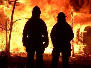 Lebanon Working on Smokey the Bear to Combat Forest Fires