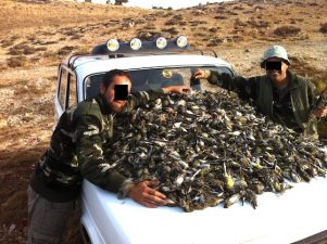 A Bonnet Full of Dead Birds Angers Lebanese Nature Lovers