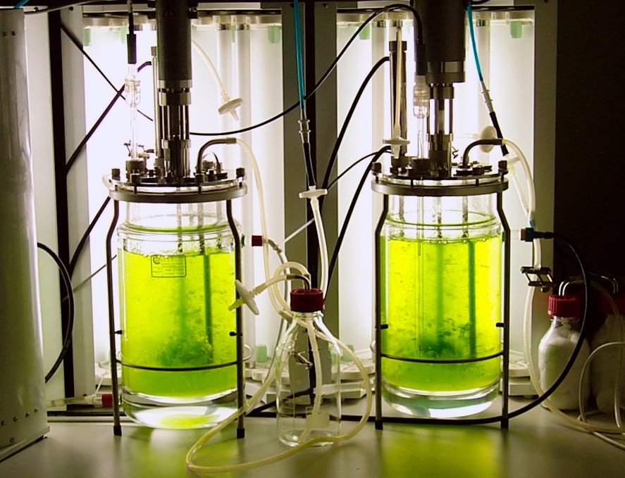 Brevel bioreactor