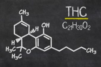 Hebrew University and PhytoTech from Australia partner on medical cannabis patch