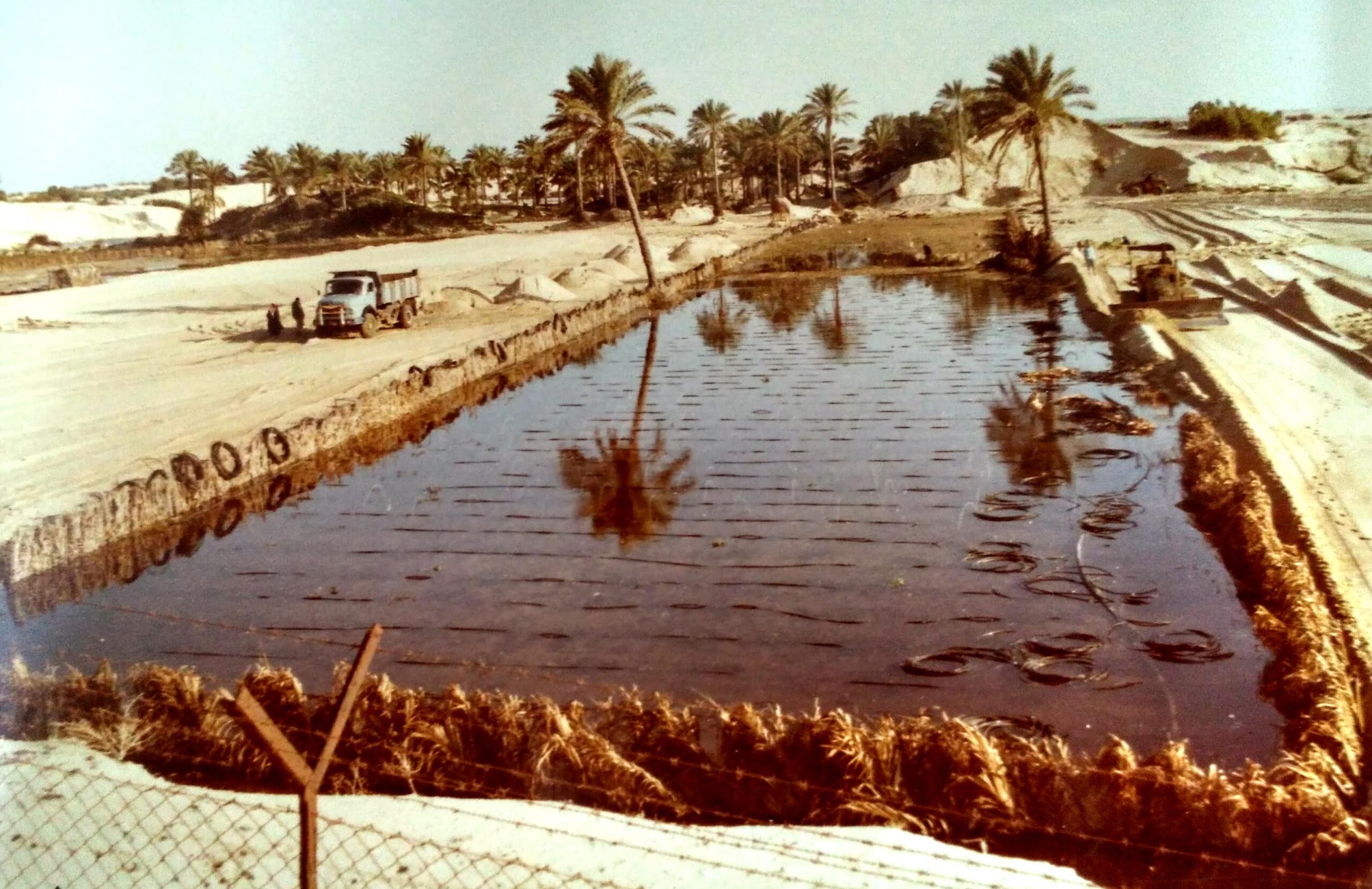 Flooded Mawasi plot (1983) along southern coast of the Gaza StripCredit: Yair Friman