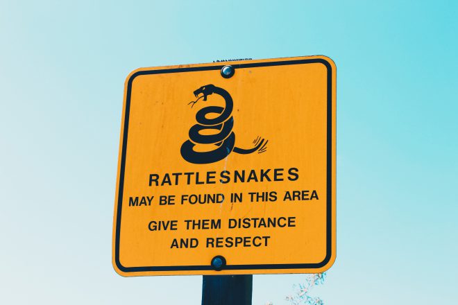 snakes pest wildlife